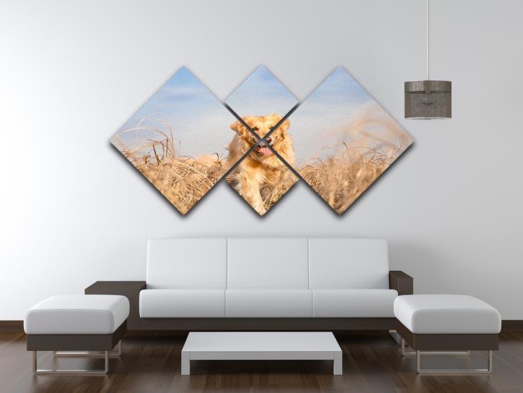 Golden retriever dog running 4 Square Multi Panel Canvas - Canvas Art Rocks - 3