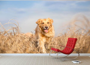 Golden retriever dog running Wall Mural Wallpaper - Canvas Art Rocks - 2