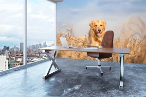 Golden retriever dog running Wall Mural Wallpaper - Canvas Art Rocks - 3