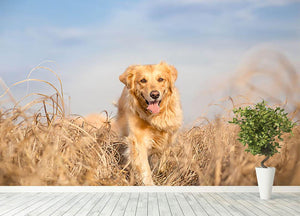 Golden retriever dog running Wall Mural Wallpaper - Canvas Art Rocks - 4