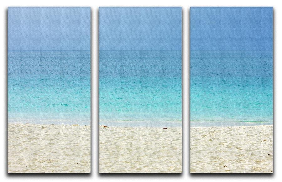 Grand Anse Bay Grenada 3 Split Panel Canvas Print - Canvas Art Rocks - 1