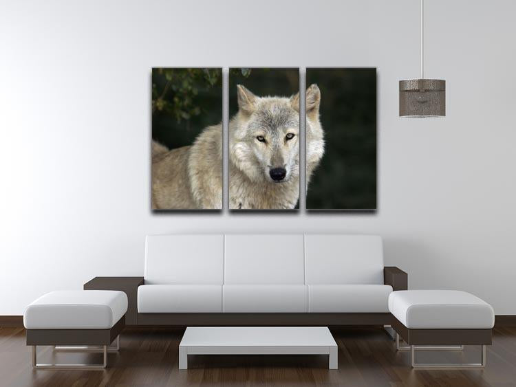 Gray Wolf Portrait in Natural Habitat 3 Split Panel Canvas Print - Canvas Art Rocks - 3