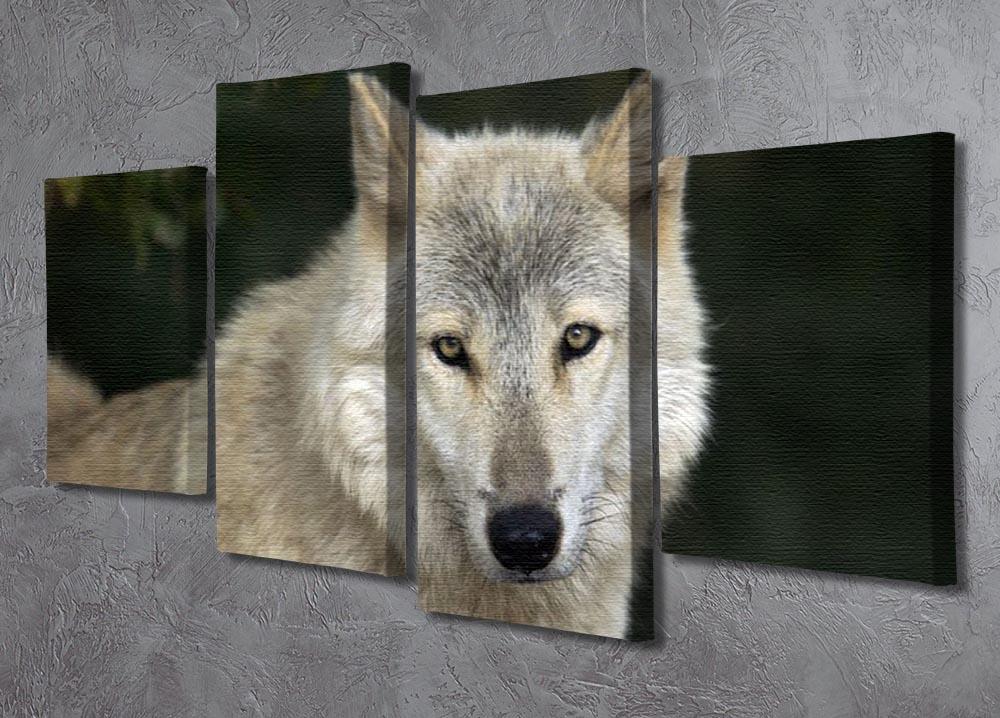 Gray Wolf Portrait in Natural Habitat 4 Split Panel Canvas - Canvas Art Rocks - 2