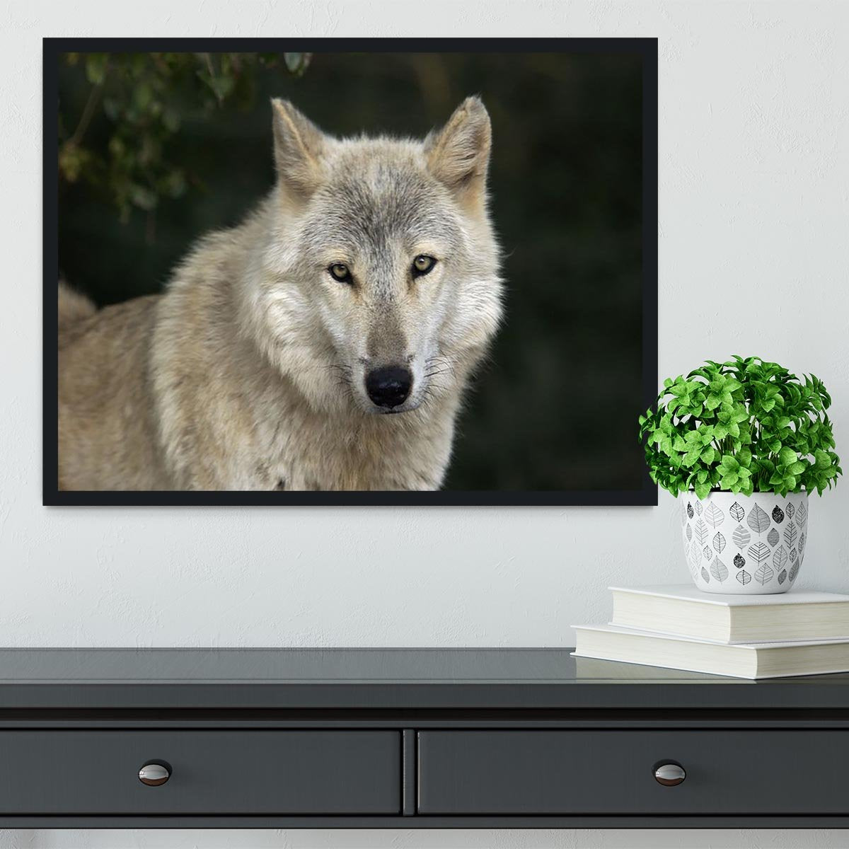 Gray Wolf Portrait in Natural Habitat Framed Print - Canvas Art Rocks - 2