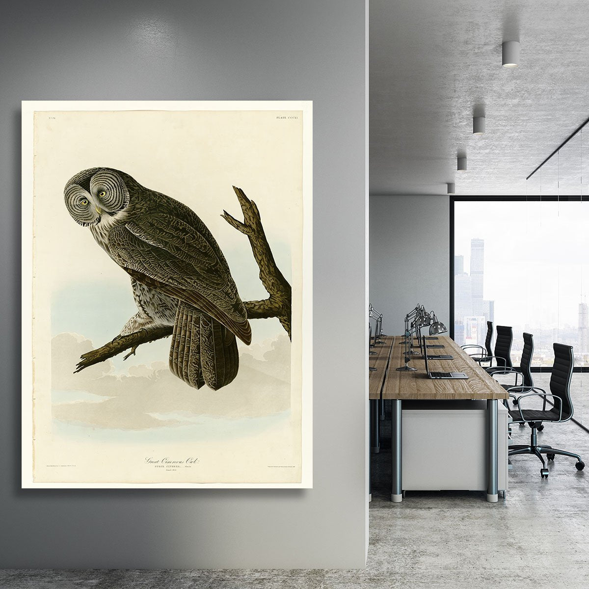 Great Cinereous Owl by Audubon Canvas Print or Poster