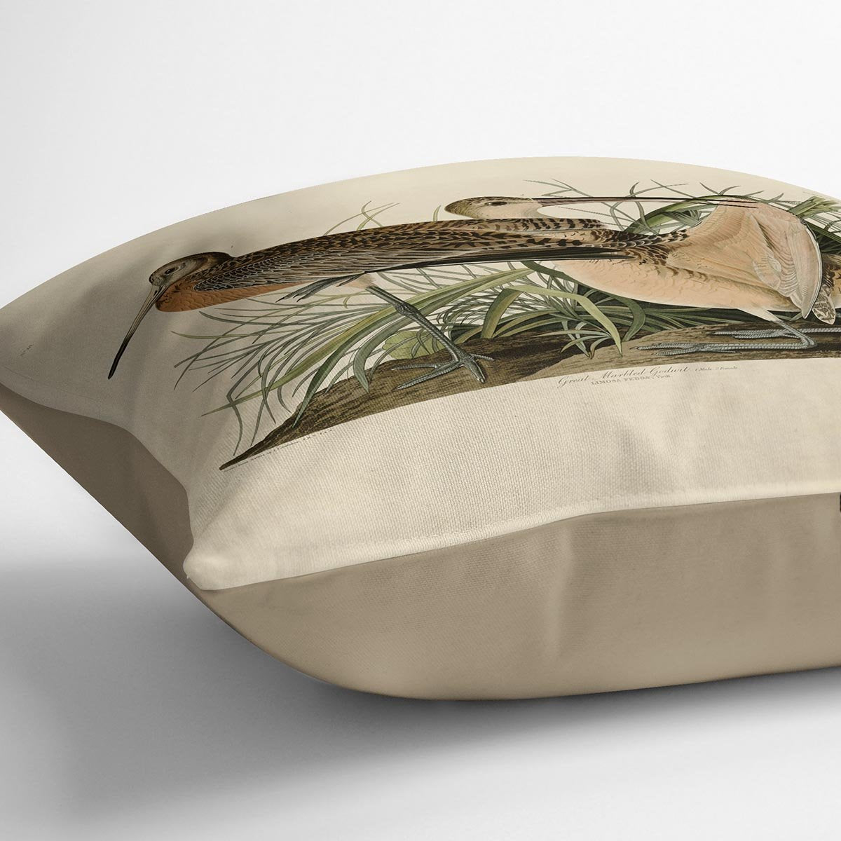 Great Marbled Godwit by Audubon Cushion