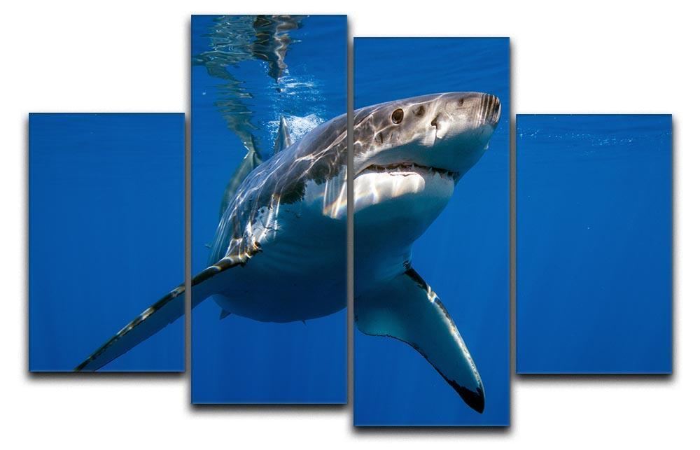 Great White 4 Split Panel Canvas  - Canvas Art Rocks - 1