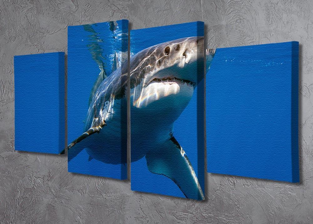 Great White 4 Split Panel Canvas  - Canvas Art Rocks - 2