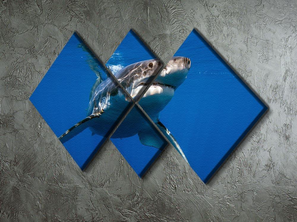 Great White 4 Square Multi Panel Canvas  - Canvas Art Rocks - 2
