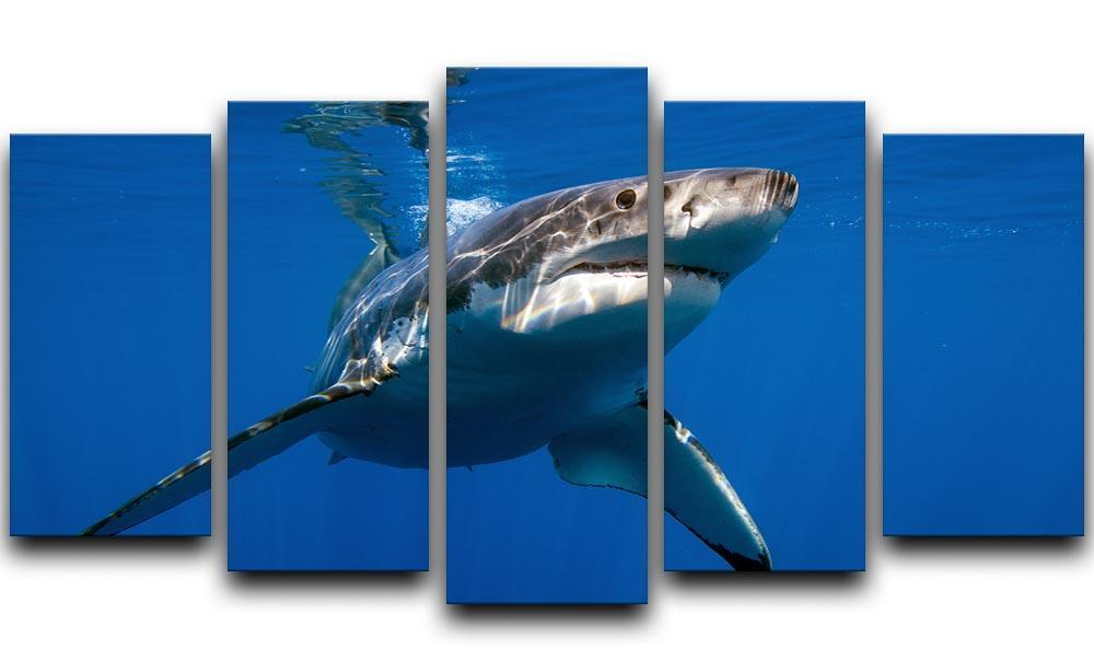 Great White 5 Split Panel Canvas  - Canvas Art Rocks - 1