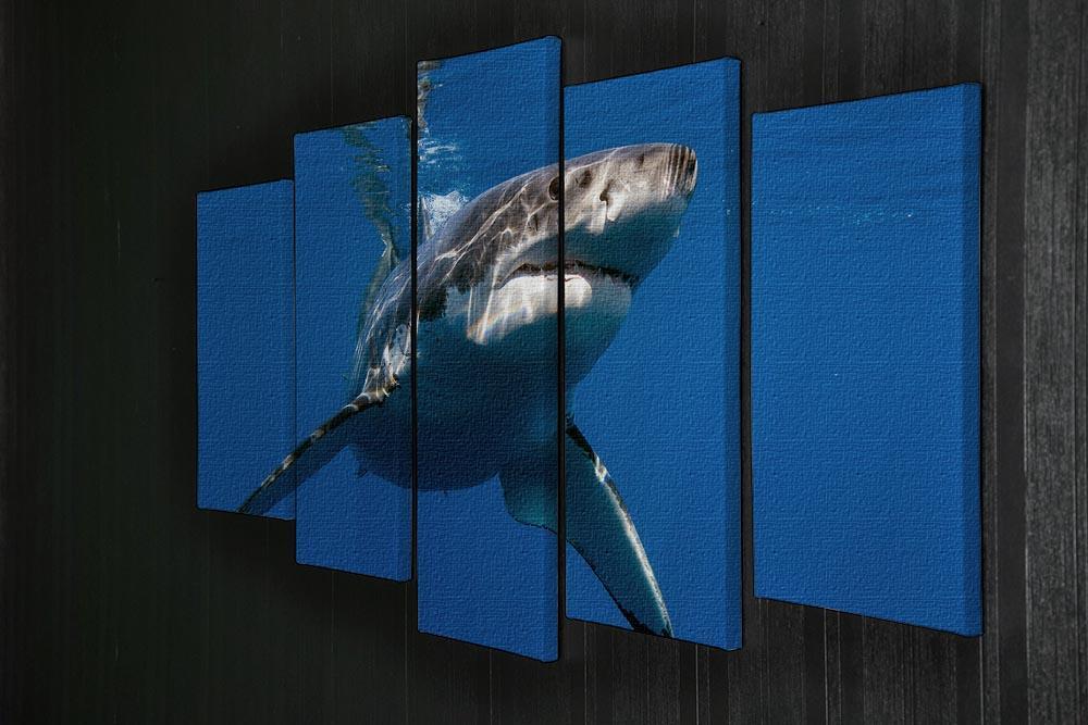 Great White 5 Split Panel Canvas  - Canvas Art Rocks - 2