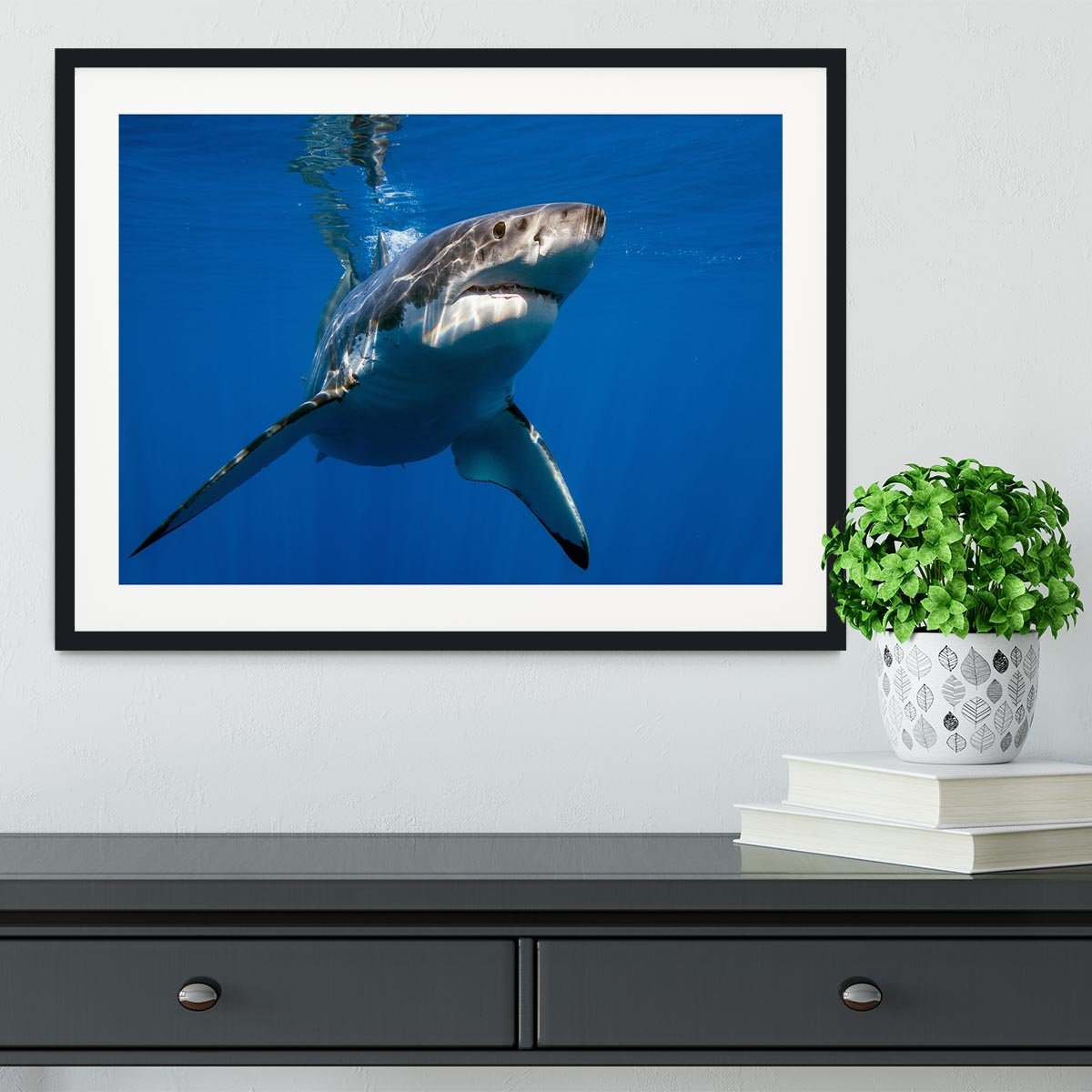 Great White Framed Print - Canvas Art Rocks - 1