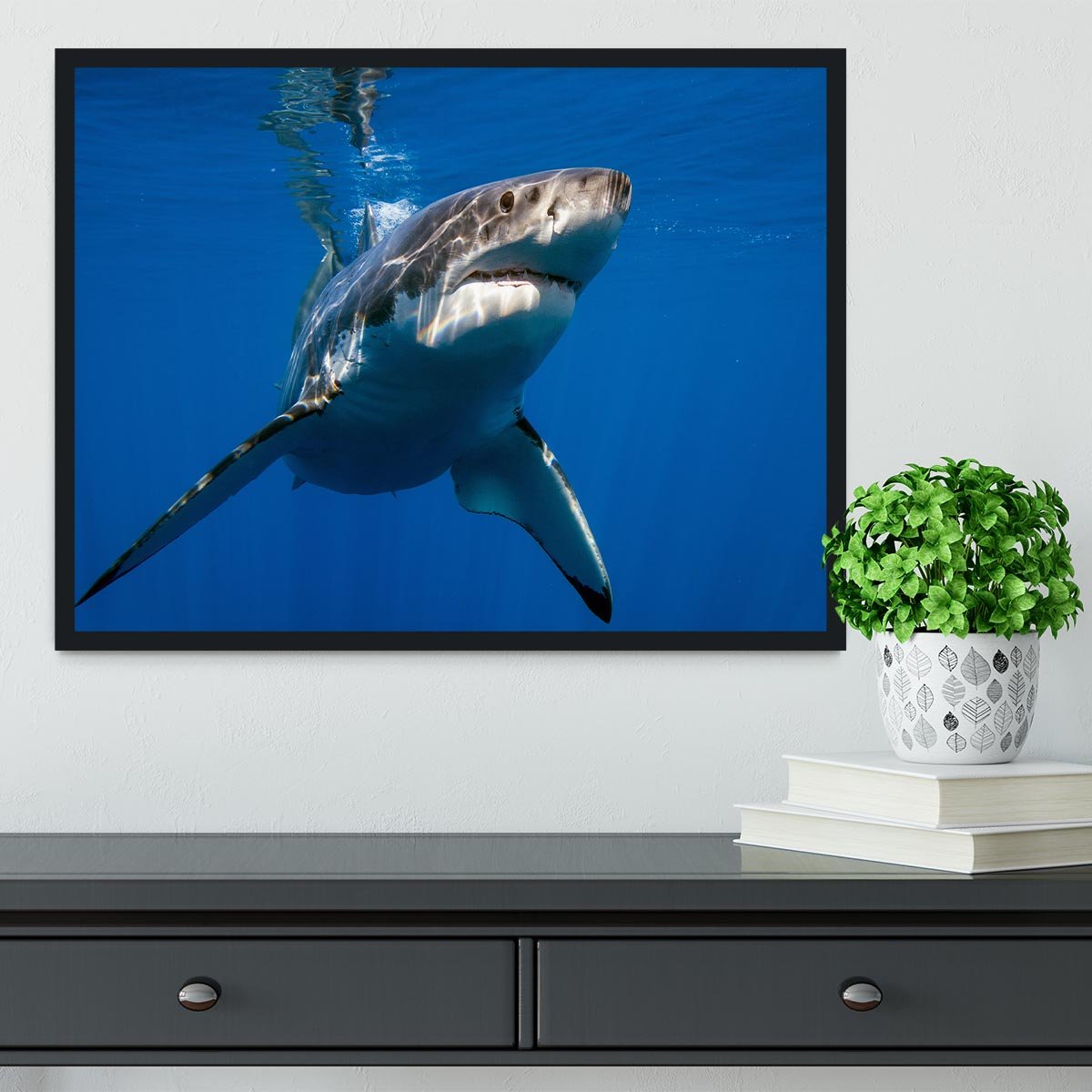 Great White Framed Print - Canvas Art Rocks - 2