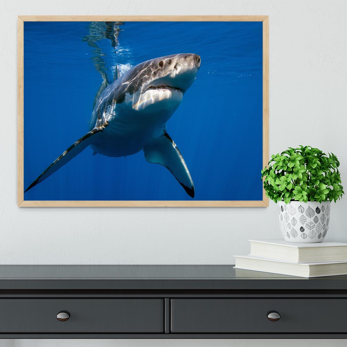 Great White Framed Print - Canvas Art Rocks - 4