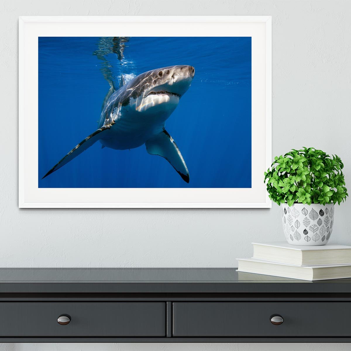 Great White Framed Print - Canvas Art Rocks - 5