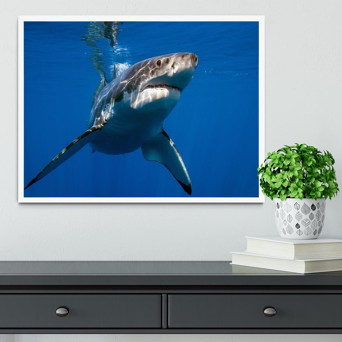 Great White Framed Print - Canvas Art Rocks -6