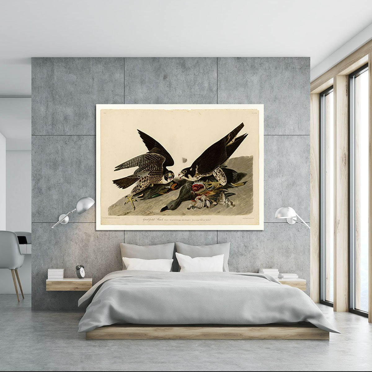 Great footed Hawk by Audubon Canvas Print or Poster