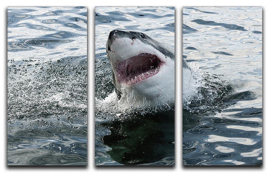 Great white shark 3 Split Panel Canvas Print - Canvas Art Rocks - 1