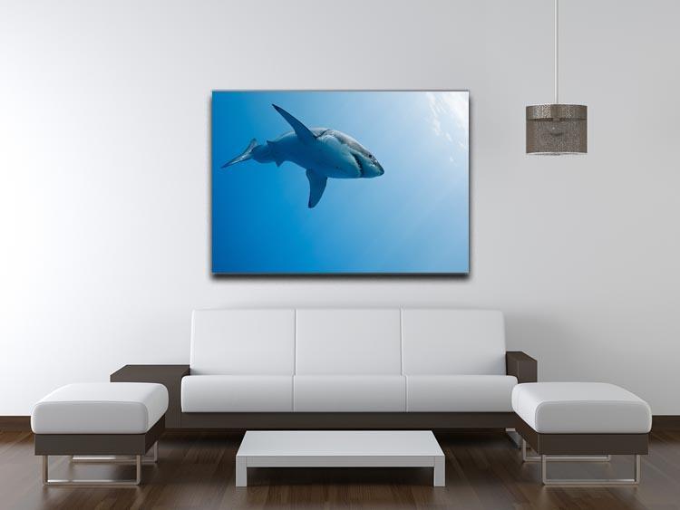 Great white shark Guadalupe Island Canvas Print or Poster - Canvas Art Rocks - 4