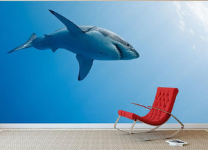 Great white shark Guadalupe Island Wall Mural Wallpaper - Canvas Art Rocks - 3