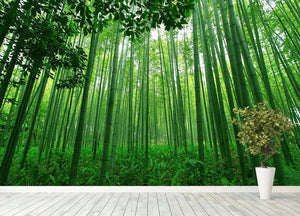 Green bamboo forest Wall Mural Wallpaper - Canvas Art Rocks - 4