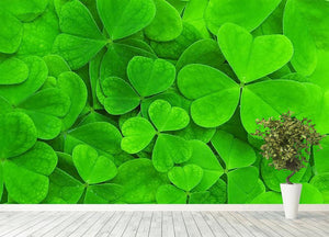 Green clover leaf Wall Mural Wallpaper - Canvas Art Rocks - 4