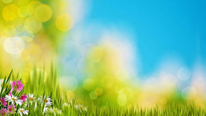 Green foliage under bright summer sun Wall Mural Wallpaper - Canvas Art Rocks - 1