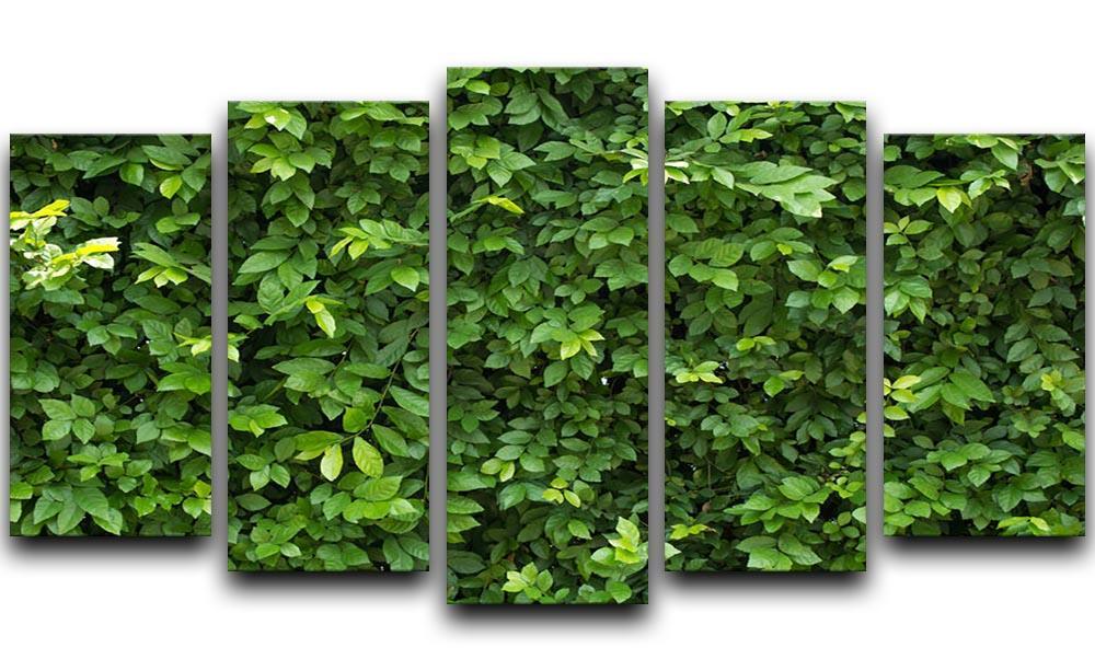 Green leaves for background 5 Split Panel Canvas  - Canvas Art Rocks - 1