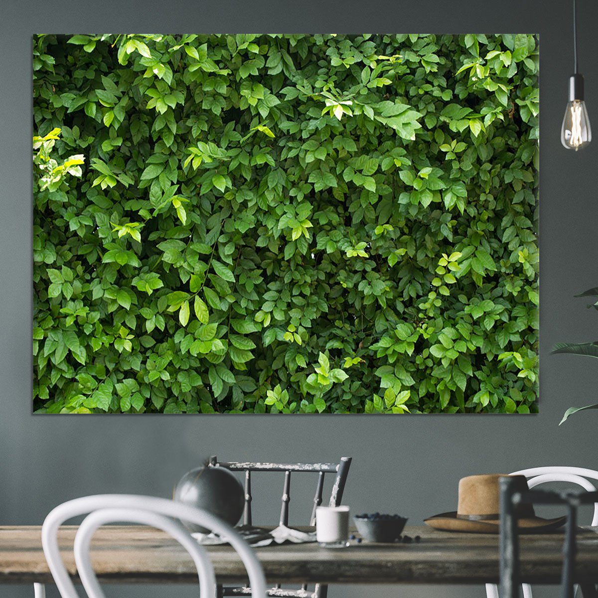 Green leaves for background Canvas Print or Poster