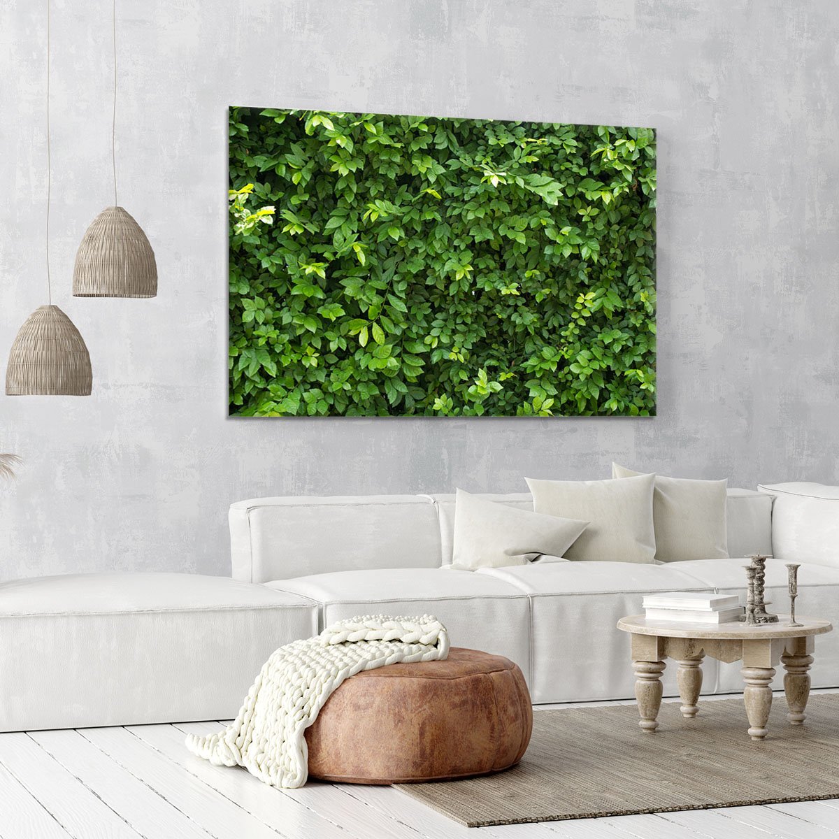 Green leaves for background Canvas Print or Poster