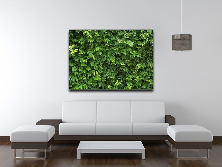 Green leaves for background Canvas Print or Poster - Canvas Art Rocks - 4