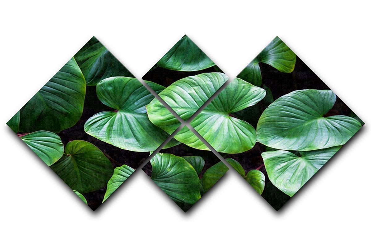 Green plant 4 Square Multi Panel Canvas  - Canvas Art Rocks - 1