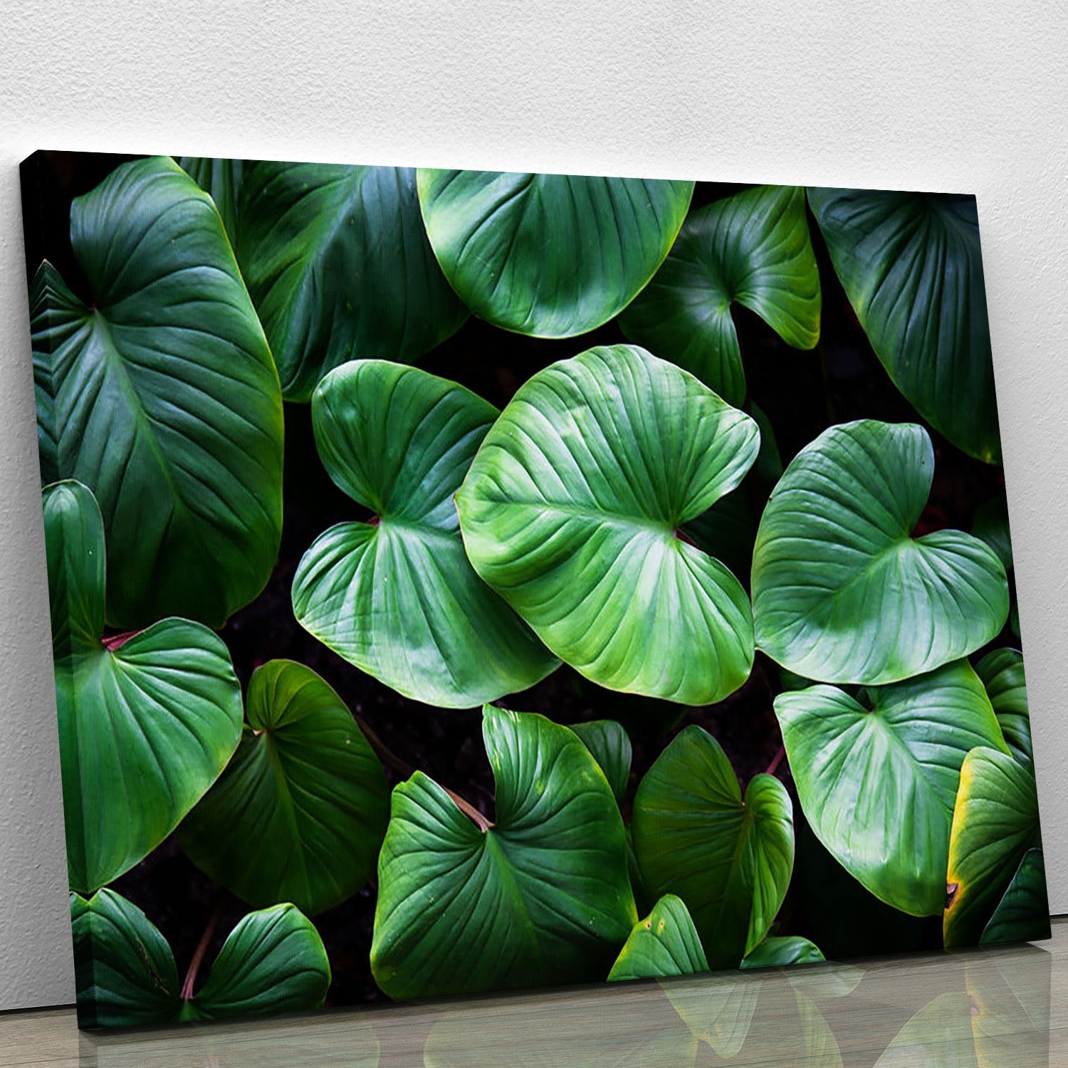 Green plant Canvas Print or Poster