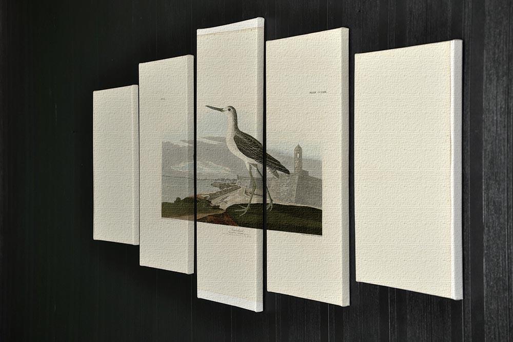 Greenshank by Audubon 5 Split Panel Canvas - Canvas Art Rocks - 2