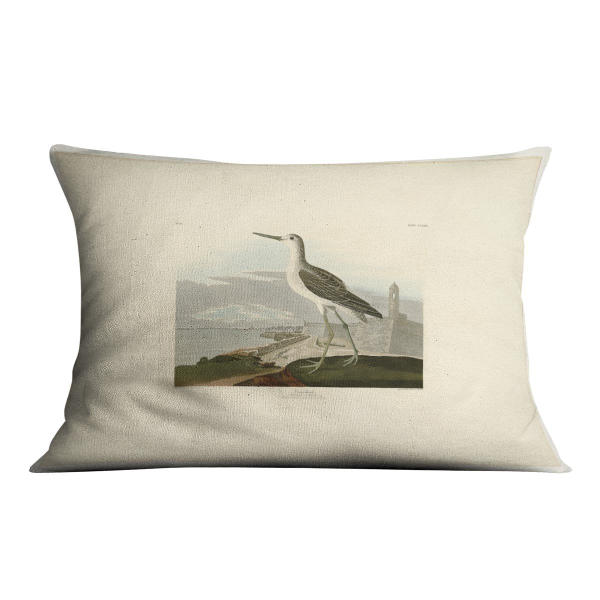 Greenshank by Audubon Cushion