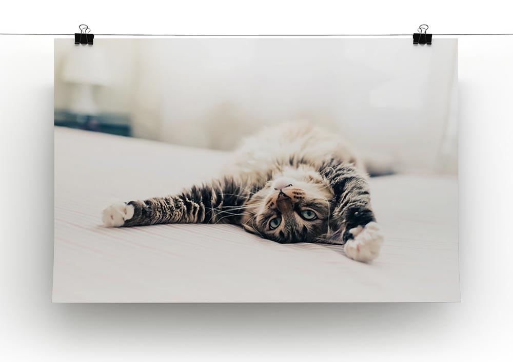 Grey cat lying on bed and stretching Canvas Print or Poster - Canvas Art Rocks - 2