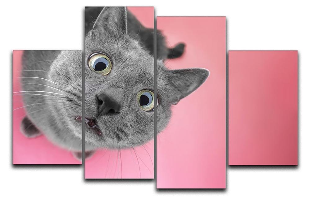 Grey cat sitting on the pink background 4 Split Panel Canvas - Canvas Art Rocks - 1