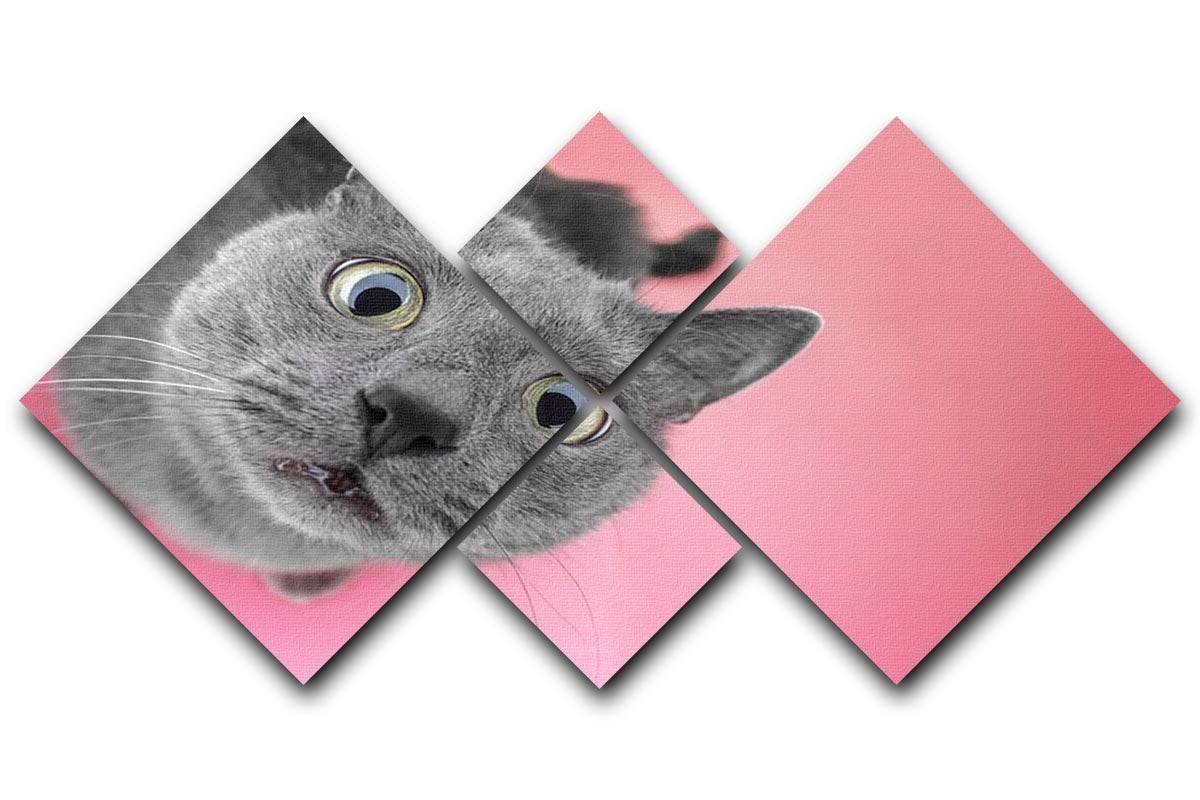 Grey cat sitting on the pink background 4 Square Multi Panel Canvas - Canvas Art Rocks - 1
