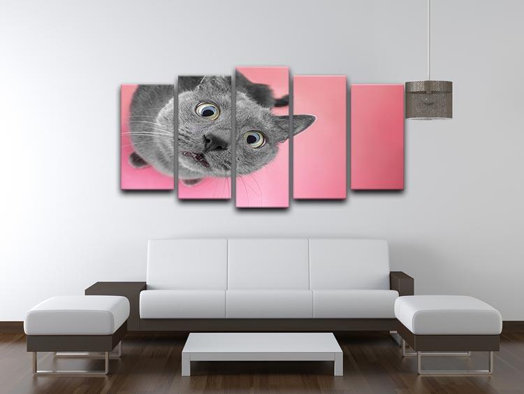 Grey cat sitting on the pink background 5 Split Panel Canvas - Canvas Art Rocks - 3