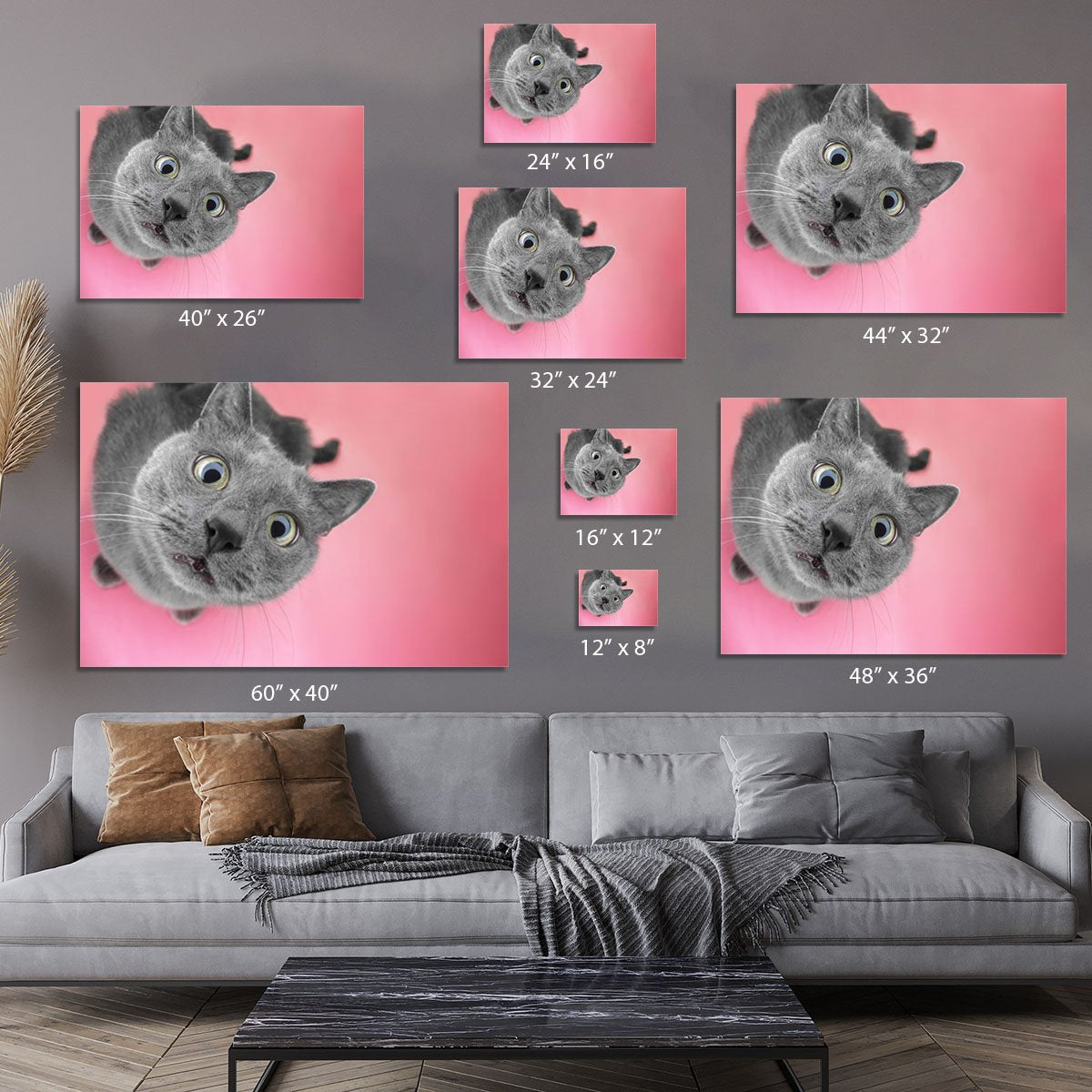 Grey cat sitting on the pink background Canvas Print or Poster