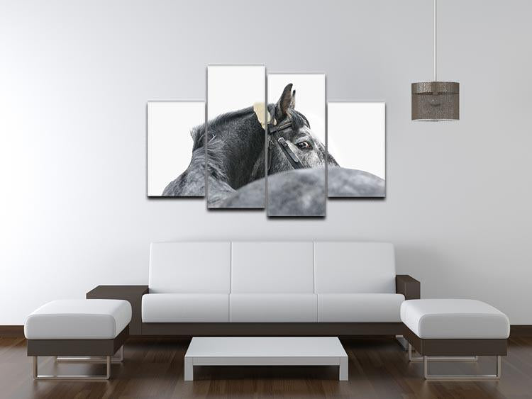 Grey horse isolated 4 Split Panel Canvas - Canvas Art Rocks - 3