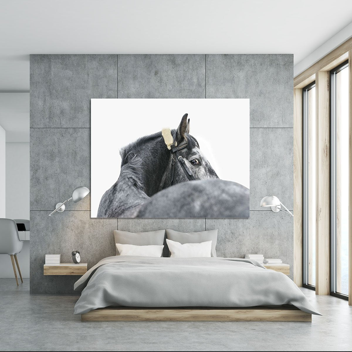 Grey horse isolated Canvas Print or Poster