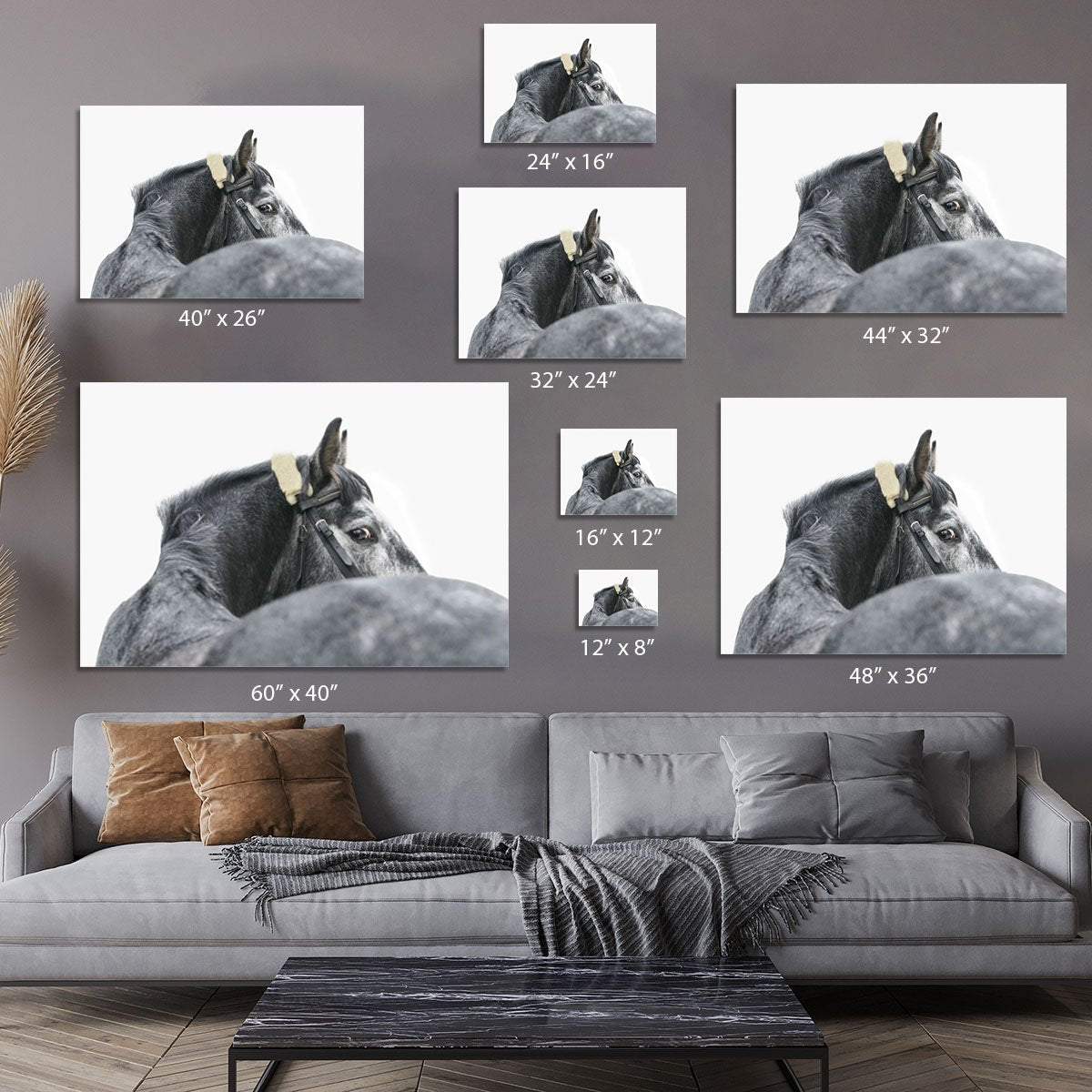 Grey horse isolated Canvas Print or Poster