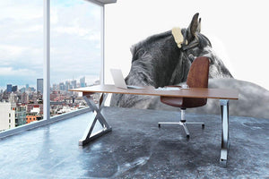 Grey horse isolated Wall Mural Wallpaper - Canvas Art Rocks - 3