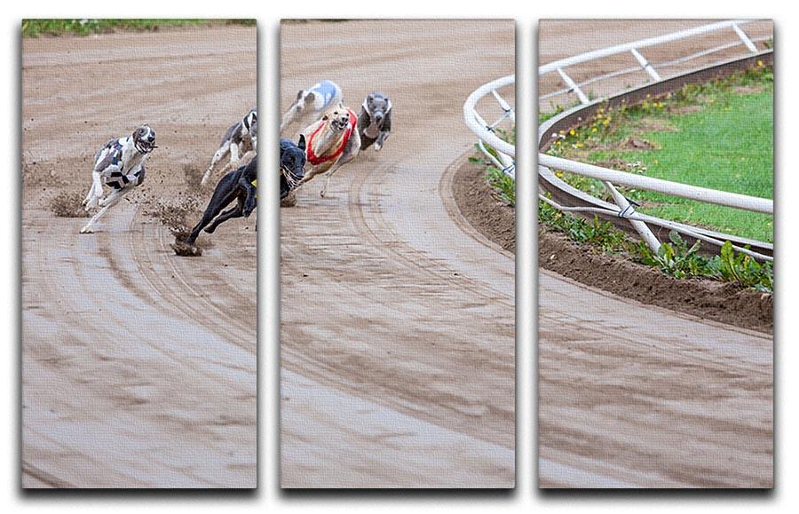Greyhound dogs racing 3 Split Panel Canvas Print - Canvas Art Rocks - 1
