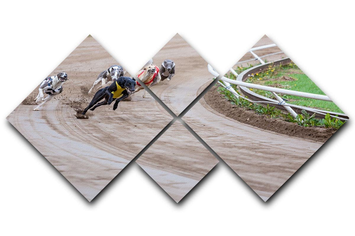 Greyhound dogs racing 4 Square Multi Panel Canvas - Canvas Art Rocks - 1