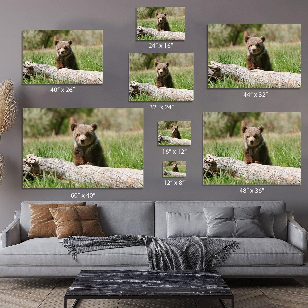 Grizzly bear cub Canvas Print or Poster