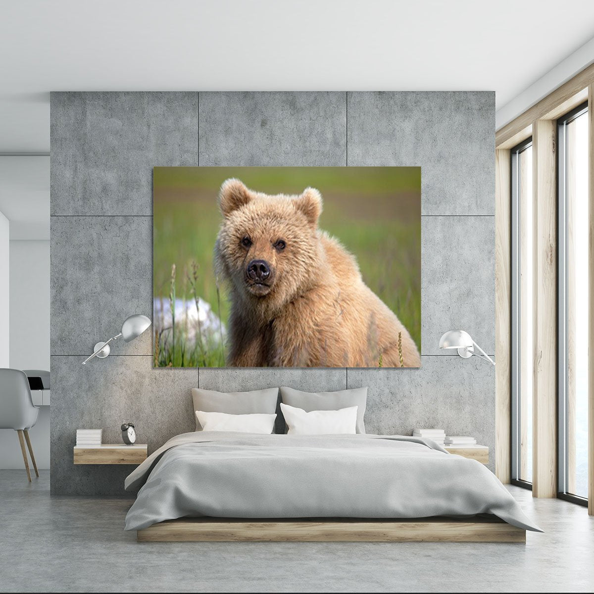 Grizzly cub staring at the camera in Alaska. Canvas Print or Poster