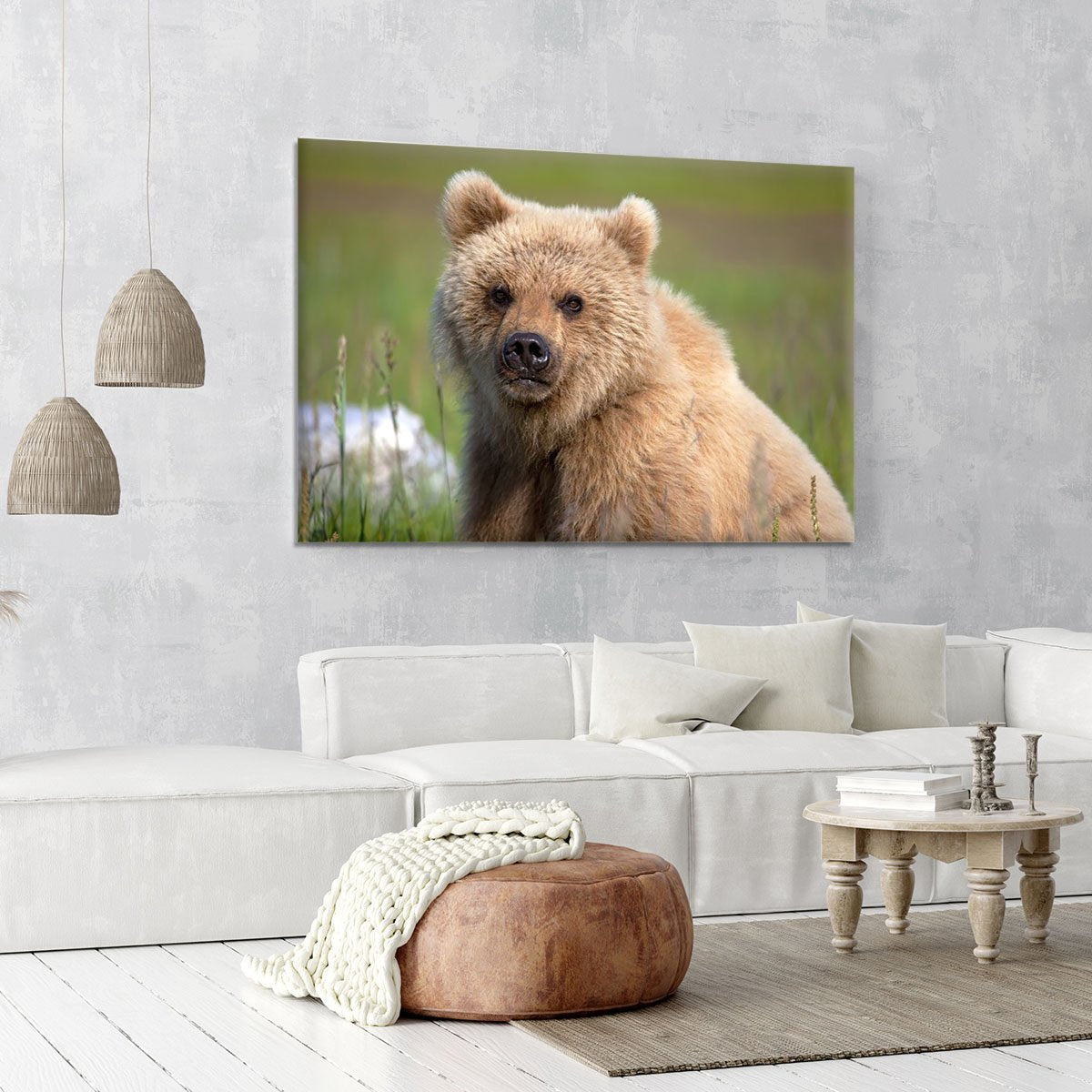 Grizzly cub staring at the camera in Alaska. Canvas Print or Poster