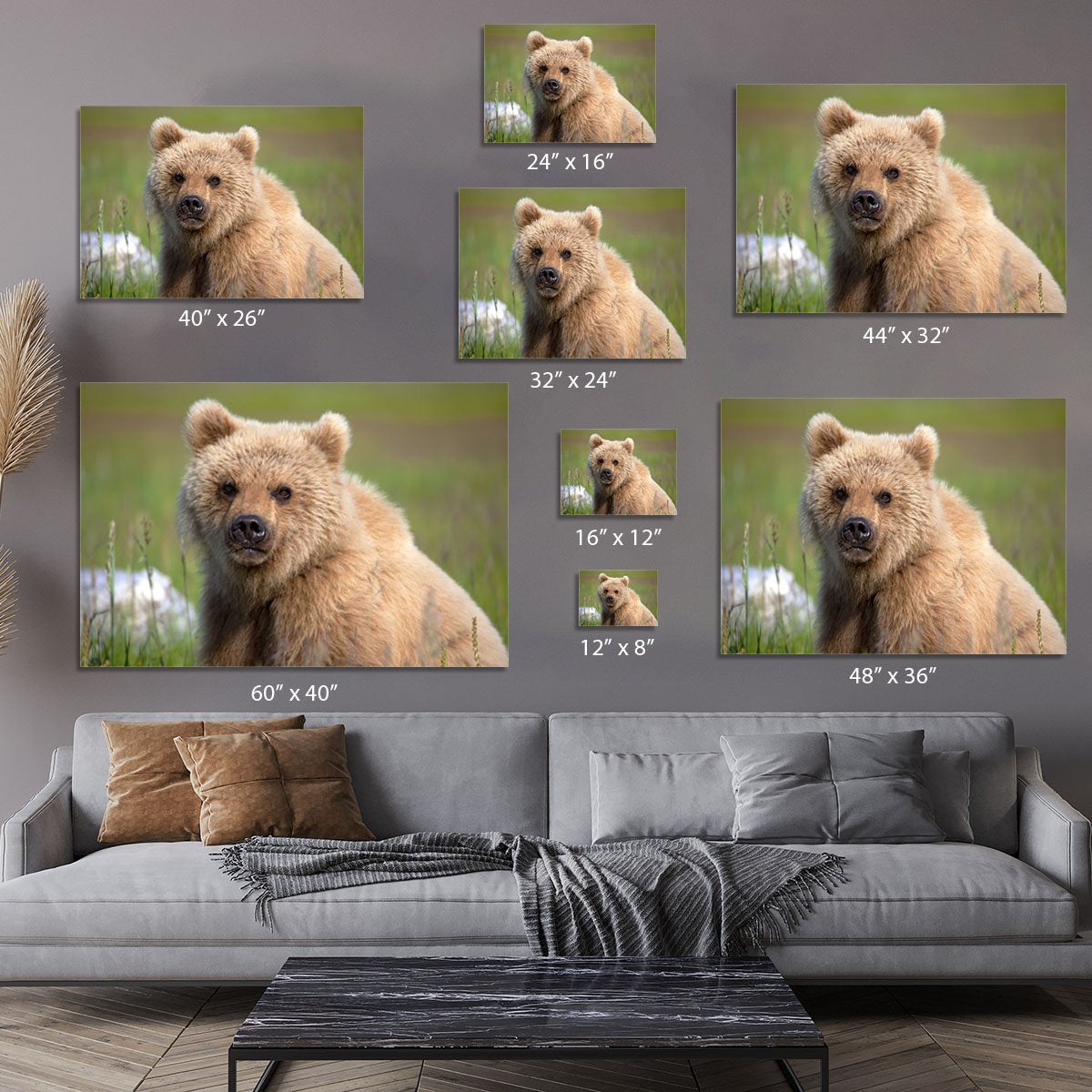Grizzly cub staring at the camera in Alaska. Canvas Print or Poster